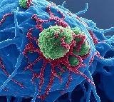 IIT Guwahatis new nanosensor can instantly detect cancer causing pollutants in water