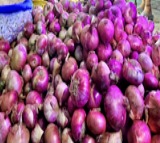 'Ensuring lower prices this festive season': Pralhad Joshi launches onion sale at Rs 24 per kg
