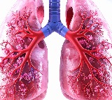 Antibody drug shows promise against lung cancer in first human trial