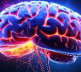 56-year-old Kerala woman dies of brain-eating amoebic infection; toll rises to 5 in a month
