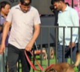 Bomb threats to two schools in Jaipur, police launch search operations
