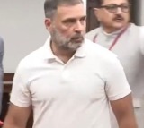 Sonia, Rahul Gandhi cast their votes for VP election