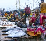 PM’s fisheries scheme catapults India as world’s 2nd largest fish producer