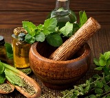 Pharmacopoeia Commission conducts training programme to boost regulation, quality of Ayush drugs