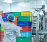 Global labour shortage by 2047 to create opportunity for India’s young workforce: Report