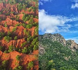 Tirumala and Visakhapatnam Erra Matti Dibbalu get International recognition