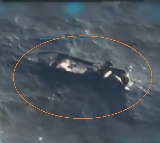 Donald Trump Reveals US Navy Destroyed Venezuelan Smugglers Boat