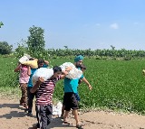 Udta Punjab no more! Youth high on spirit of 'sewa', 'Chardi Kala' helping in survival, revival of flood-ravaged state