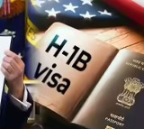 H1B Visa Impact on Amazon TCS and Other Companies