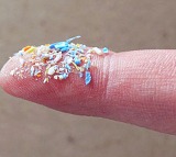 Microplastics Found in Bones Study Reveals