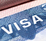 H-1B visa fee hike to cut Indian IT firms’ margins by just 10-20 bps, revenue to grow 2-4 pc