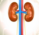 Young night shift workers more at risk of developing kidney stones Says Study