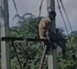 Man Climbs Electricity Pole Over Wifes Food Refusal