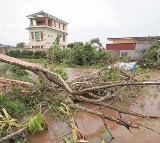 Typhoon Bualoi leaves 51 dead in Vietnam