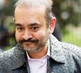 Nirav Modi Likely to be Extradited to India on November 23