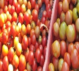 Andhra farmers throw tomatoes on roads as prices crash