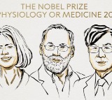 US, Japanese scientists awarded 2025 Nobel Prize for Medicine for discovery on immune system