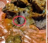 Kritunga Restaurant Hyderabad Faces Complaint After Cockroach Found in Food