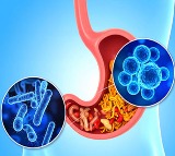 A healthier gut may help improve depression and anxiety says study