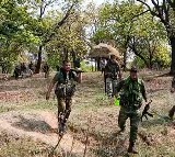 Major blow to insurgency: Top Maoist Sonu 'dada' surrenders with 60 cadres in Maharashtra