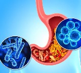 New antibiotic to curb dangerous gut bacterium with a low dose