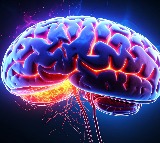 Why women face higher risk of multiple sclerosis and Alzheimer's