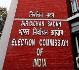 ECI to enforce TN Seshan’s 1994 guidelines on Burqa-clad women in Bihar polls