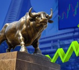 Stock Markets Open Higher on Domestic Investor Buying