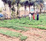 Kadapa farmer Ramesh success with 20 crops in small land