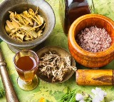 Ayurveda Day transformed from national observance into a global health movement: CSIR-NIScPR