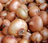 Maharashtra Farmer Sudam Ingle Earns Rs 664 After Spending Rs 66000 on Onions