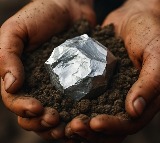 IIT‑Delhi, global auto majors explore solutions to China’s rare‑earth curbs: Report