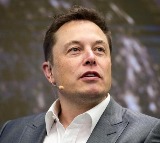 Elon Musk Silicon Valley Sex Warfare Comment Goes Viral