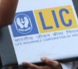 LIC stock surges 24.5 pc as insurer posts steady profit growth