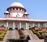 'Don't they read newspapers?': SC summons Chief Secys of states, UTs over non-compliance of directions on stray dogs