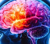 Tongue may hold clues to detect, track motor neurone disease: Study