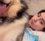 Janhvi Kapoor plays with her pet husky, shares a cute and funny video
