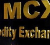 MCX trading halted for over four hours due to technical glitch, probe initiated