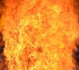 Fire breaks out at SBI's branch in Kolkata