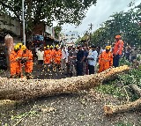 Montha Cyclone Devastation in Andhra Pradesh Two Deaths Reported