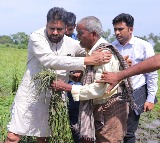 Pawan Kalyan Inspects Damaged Crops in Koderu