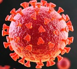 Covid during pregnancy may raise autism, motor disorder risk in kids by age 3