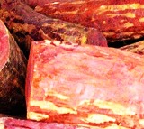 Biodiversity authority gives Rs 3 crore to growers of Red Sanders in Andhra Pradesh