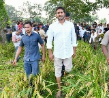 Jagan Demands Crop Insurance for Cyclone Affected Farmers