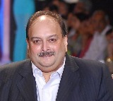 Mehul Choksi Appeals to Belgium Supreme Court Against India Extradition