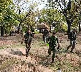 Three Maoists reportedly killed in Bijapur encounter; search operation underway