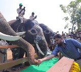 Andhra Dy CM Pawan Kalyan launches Kumki elephant training centre