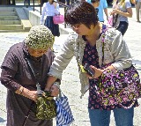 Why Indian Life Expectancy is Lower Than Japanese