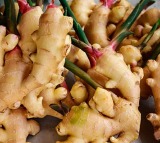 Ginger protects your lungs naturally