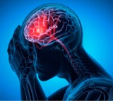 Brain Health Three Habits That Harm Your Brain